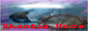 Tutorial Photoshop